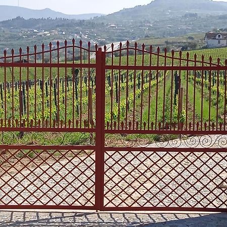 Вилла Quinta Do Passadico Ламегу Экстерьер фото