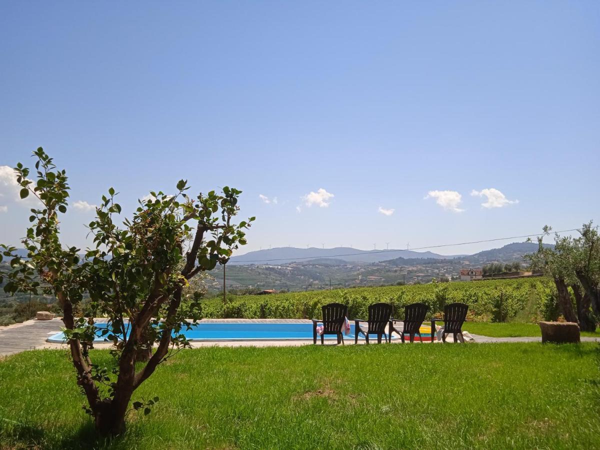 Вилла Quinta Do Passadico Ламегу Экстерьер фото