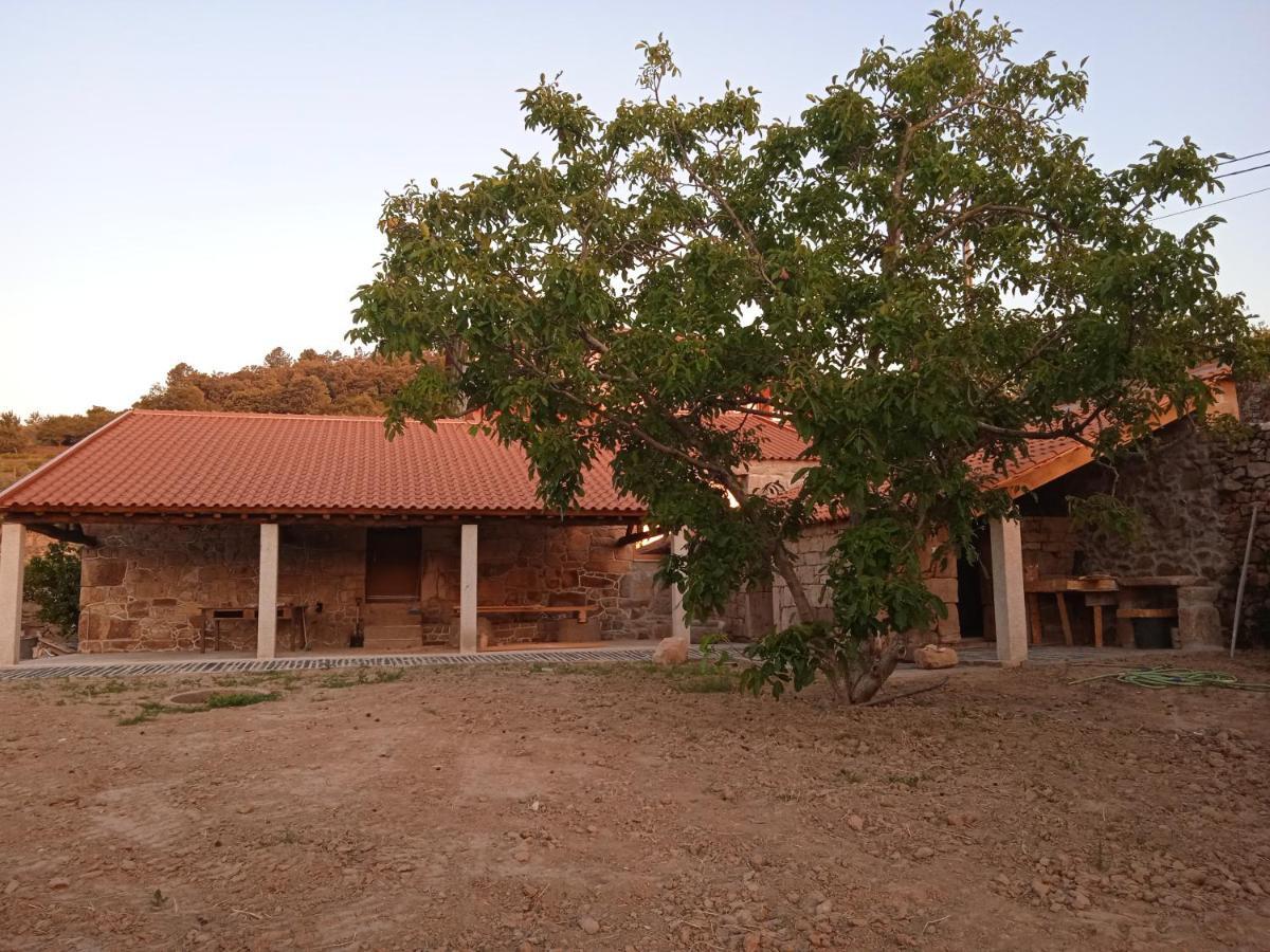 Вилла Quinta Do Passadico Ламегу Экстерьер фото
