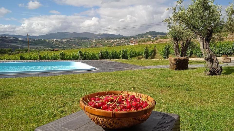 Вилла Quinta Do Passadico Ламегу Экстерьер фото